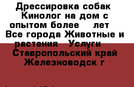 Дрессировка собак (Кинолог на дом с опытом более 10 лет) - Все города Животные и растения » Услуги   . Ставропольский край,Железноводск г.